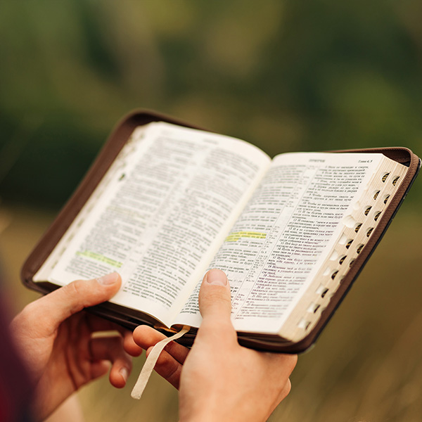 Bible | Every Christian Hypnotized Bible